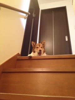 image-20120410235347.png